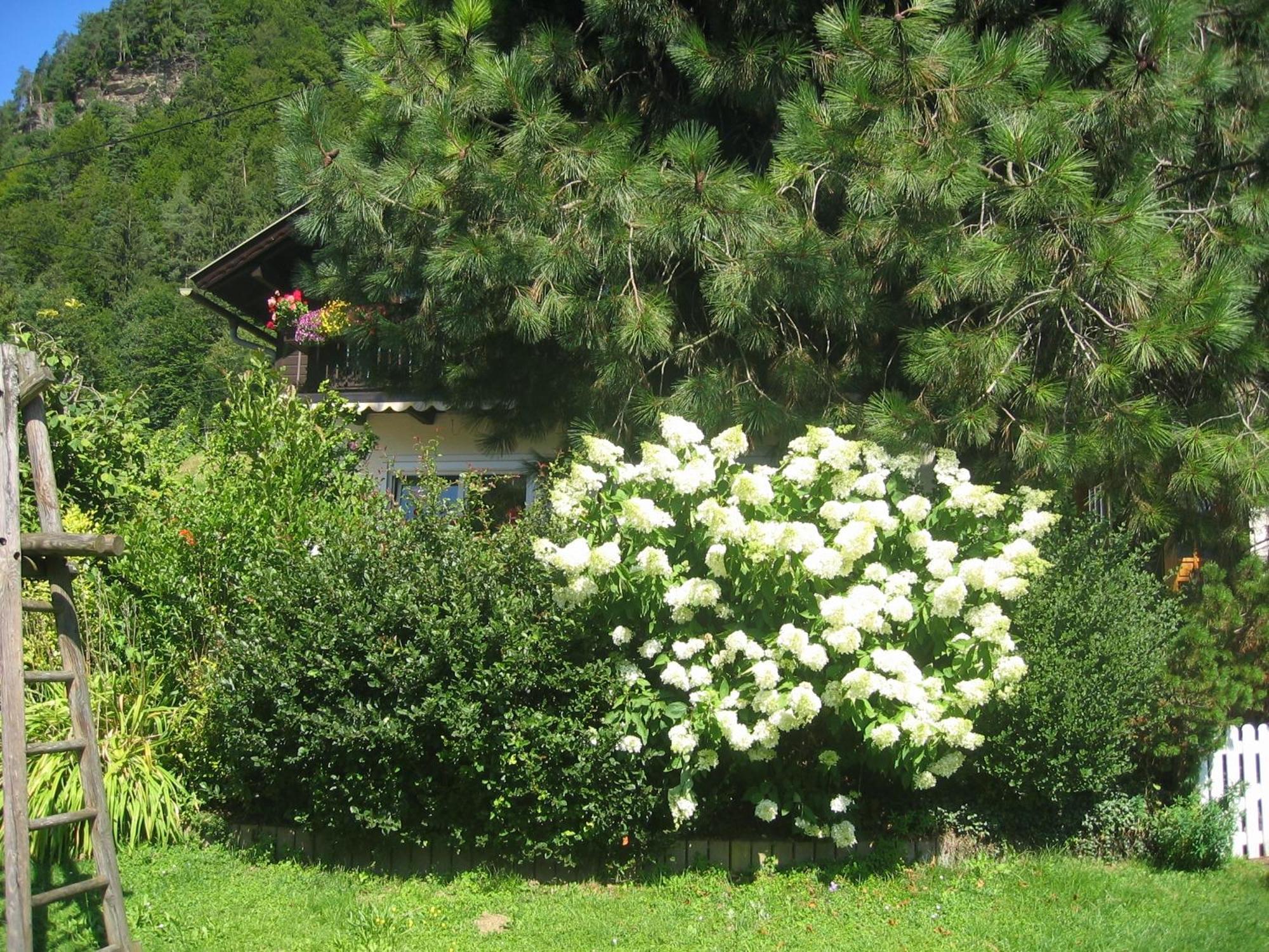 Pension Wolf Steindorf am Ossiacher See Buitenkant foto